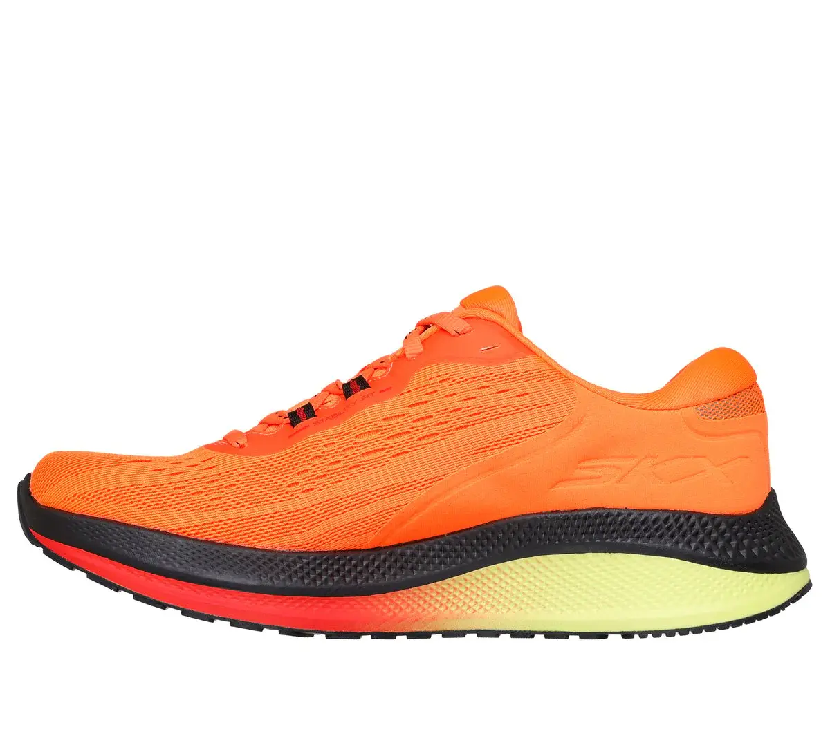 GO RUN Persistence 2 GO RUN Persistence 2