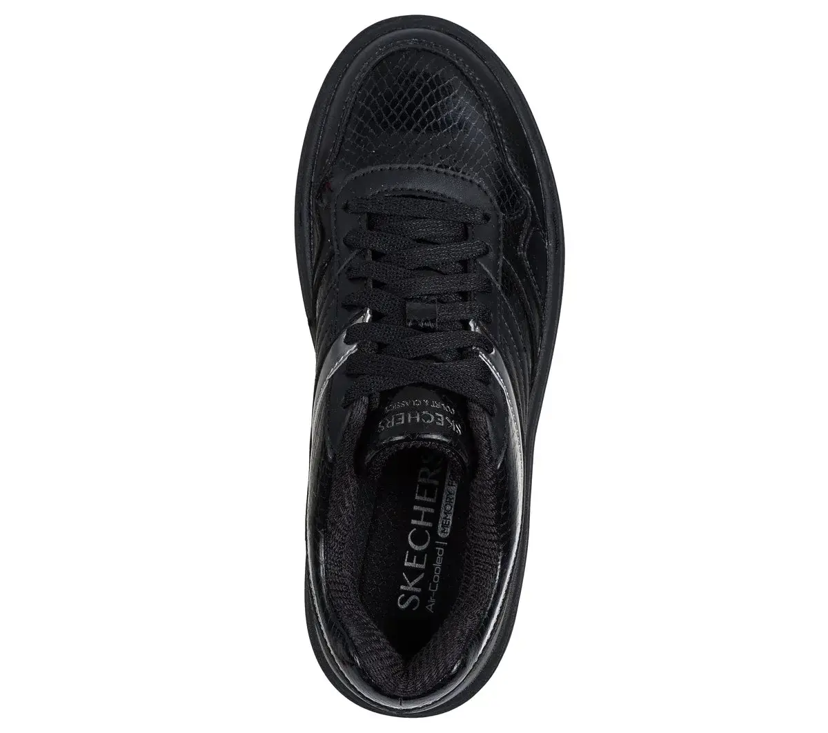 Paloma – Lifted Glow