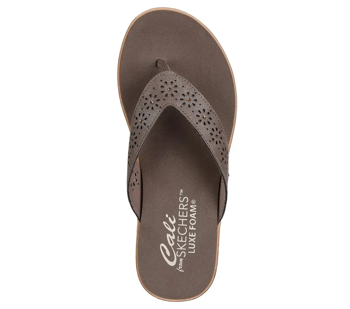 Summer Cove Summer Cove