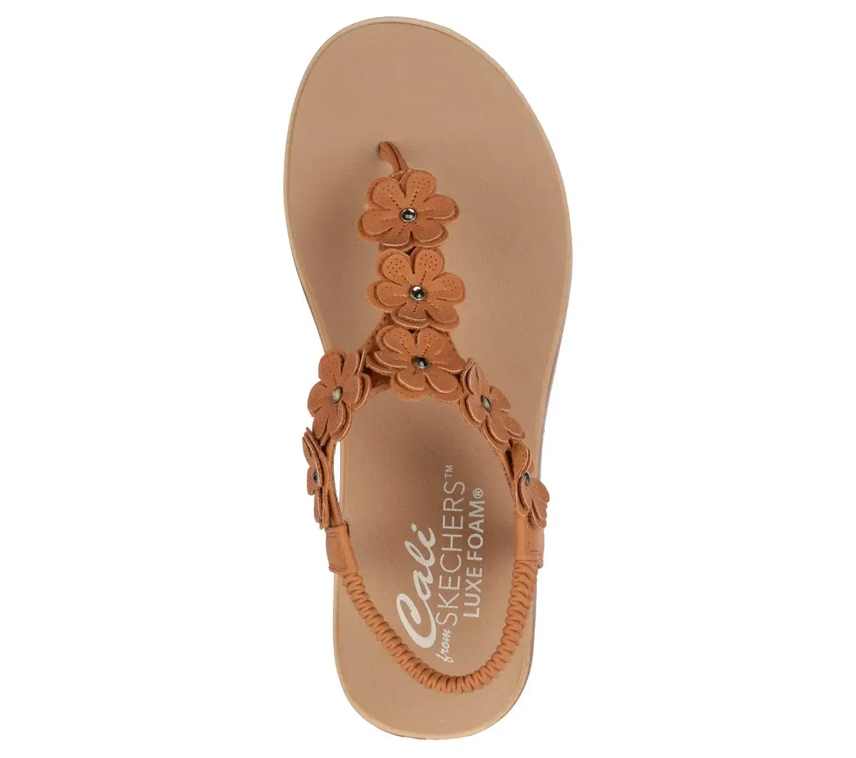 Summer Cove – Beach Bloom Summer Cove – Beach Bloom