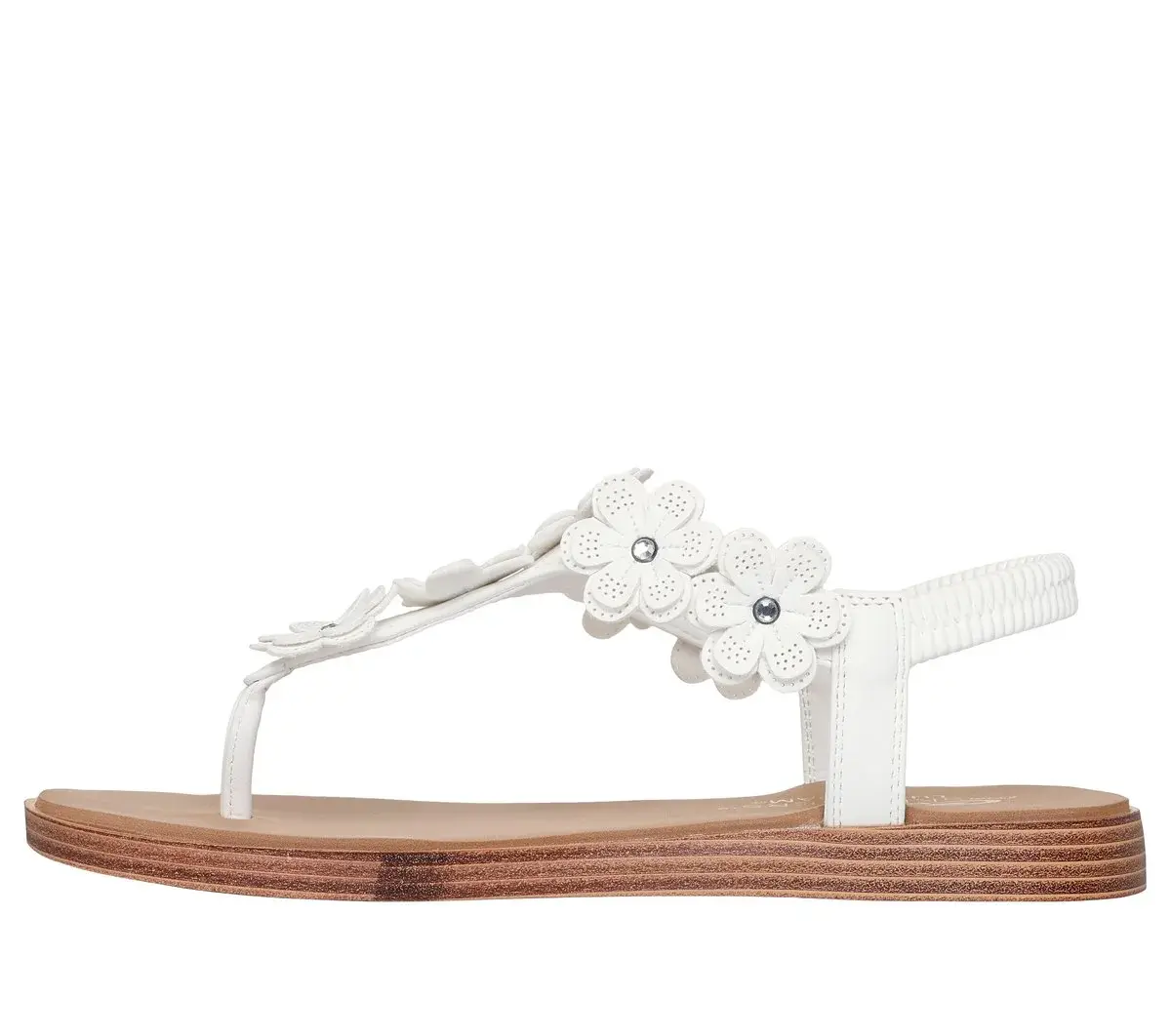 Summer Cove – Beach Bloom Summer Cove – Beach Bloom